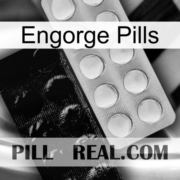 Engorge Pills new14.jpg